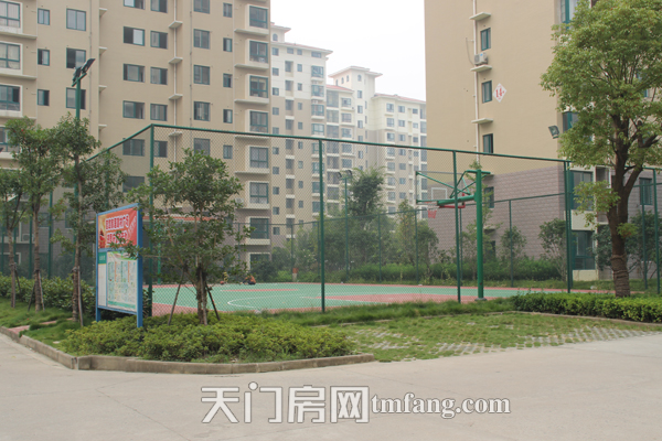 冠南汇侨城9月工程进度 篮球场