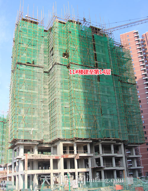 东湖金利屋11#楼建至14层