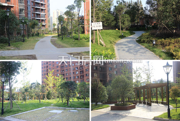 东湖金利屋小区内成熟的绿化和设施配套