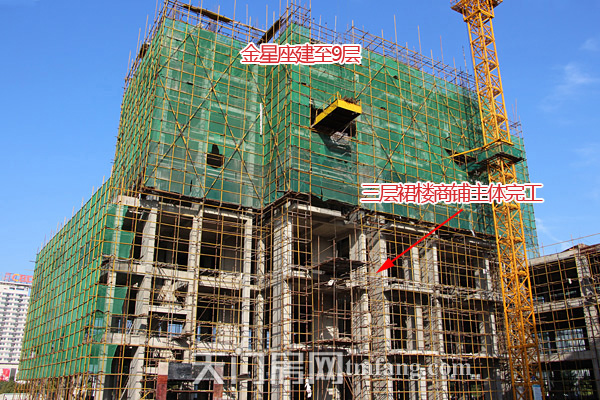 天地星座11月工程进度 金星座建至9层