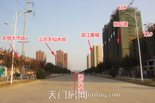 桃花源11月工程进度：8-10#已经喜封金顶