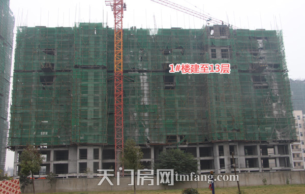 汇金国际1#楼建至13层