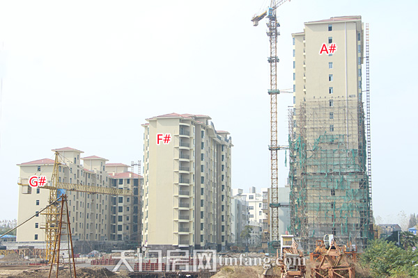 冠南汇侨城11月工程进度 A#、F#、G#楼