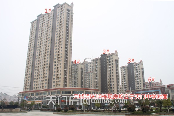 天城明珠3月工程进度：10#楼准备贴外墙砖