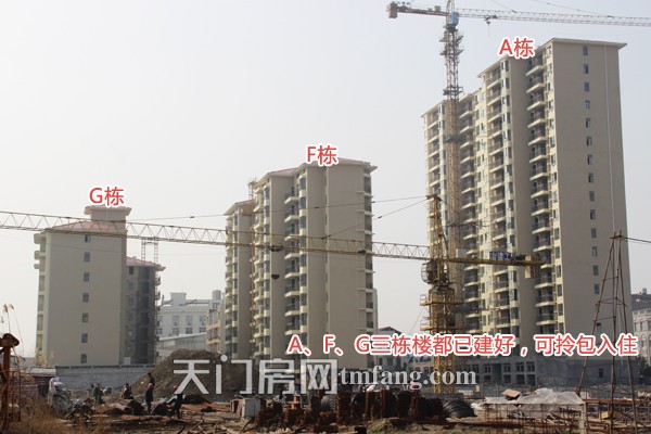 冠南汇侨城3月工程进度：A、F、G栋已建好
