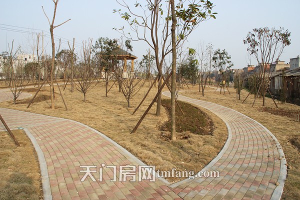 广场上的蜿蜒小道和绿化带