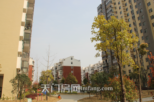 鸿泰公馆3月工程进度 一期内一景