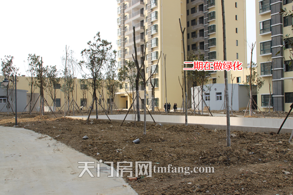 鸿泰公馆3月工程进度 二期在做绿化