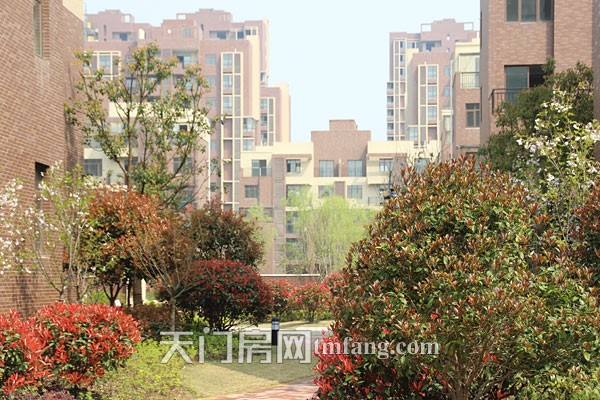 汉旺世纪城3月工程进度 A区内部环境一览