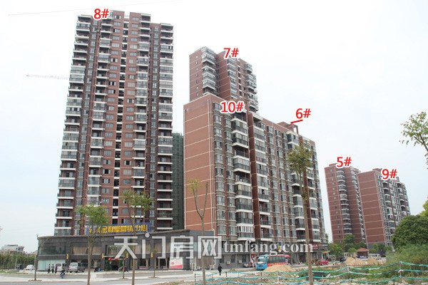 东湖金利屋4月工程进度：沿湖道路绿化带做好