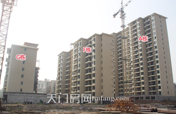 冠南汇侨城金桂园5月工程进度：E栋建至第5层