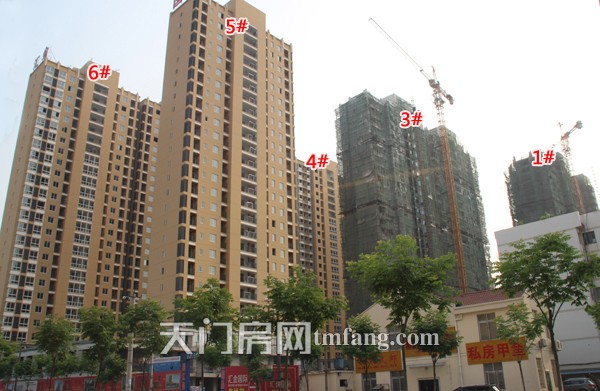 汇金国际5月工程进度：一期在填土准备做绿化