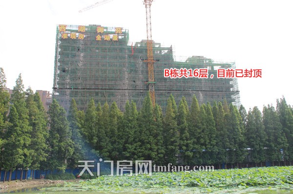 西湖御苑6月工程进度：小区游泳池已开放