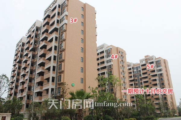 华茂阳光城6月工程进度：16-19#楼外立面呈现