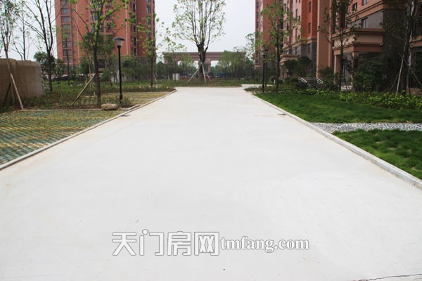 华泰丽晶10#和11#楼下的地面