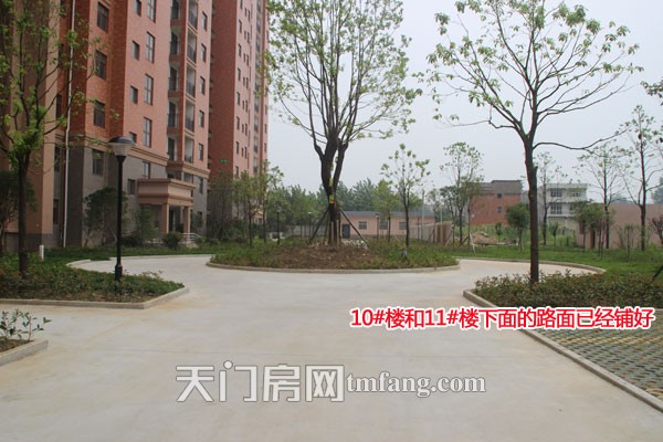 华泰丽晶10#和11#楼下的地面