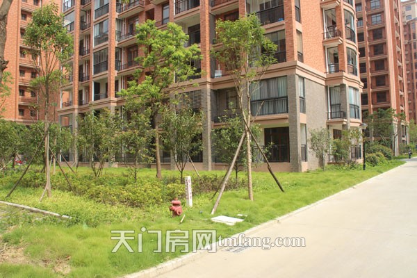 华泰丽晶绿化一景