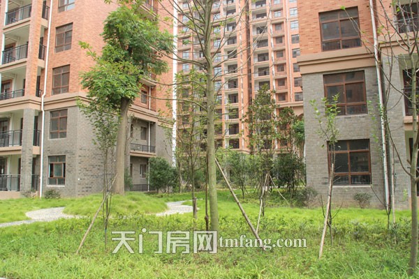 华泰丽晶绿化一景