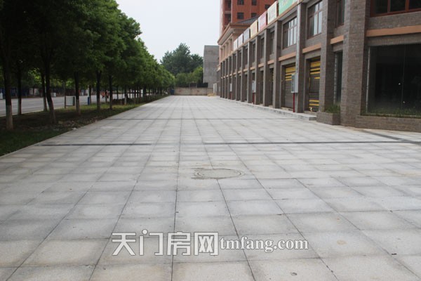 华泰丽晶8月工程进度：商铺已经火热开售