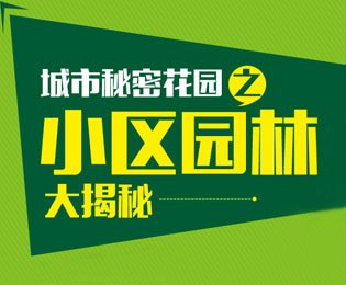 独家策划：城市秘密花园之小区园林大揭秘