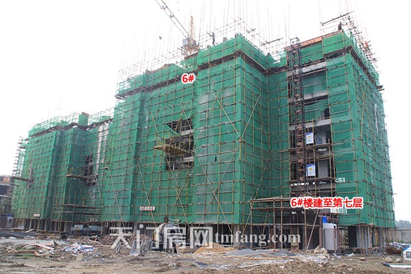 华茂阳光城9月工程进度：二期开始做绿化