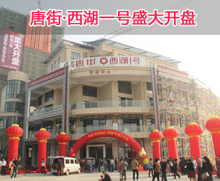 唐街·西湖一号1#和4#楼全城首发 耀世开盘