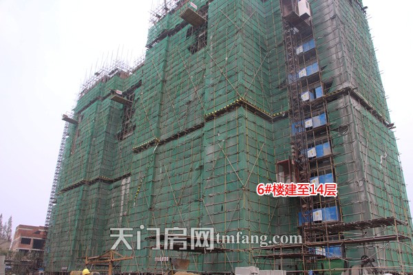 华茂阳光城11月工程进度：二期绿化基本完工