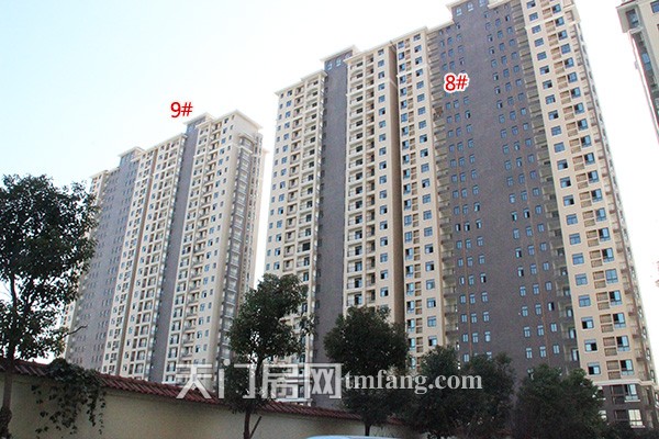 天城明珠12月工程进度：8—10#楼正做绿化