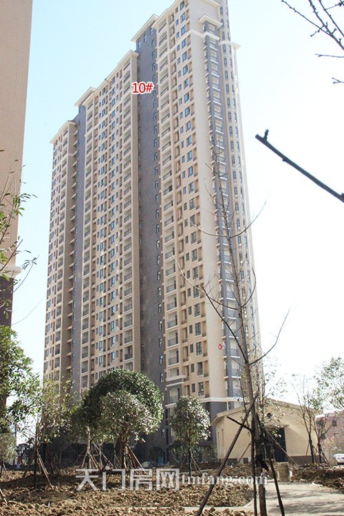 天城明珠12月工程进度：8-10#楼正做绿化