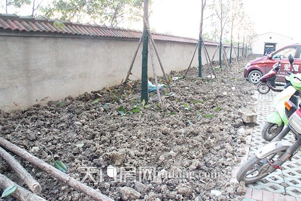 天城明珠12月工程进度：8-10#楼正做绿化