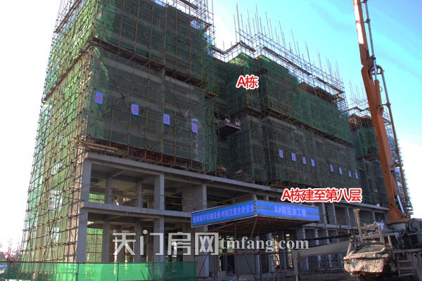 碧水园12月工程进度：G栋已经在挖坑基