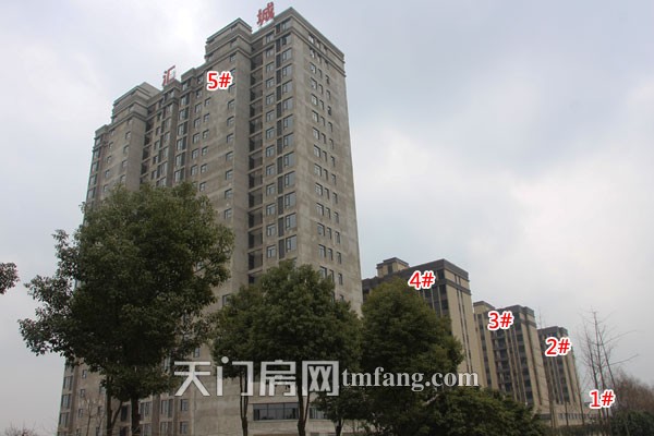 问天·智汇东城1月工程进度：小区正在做绿化