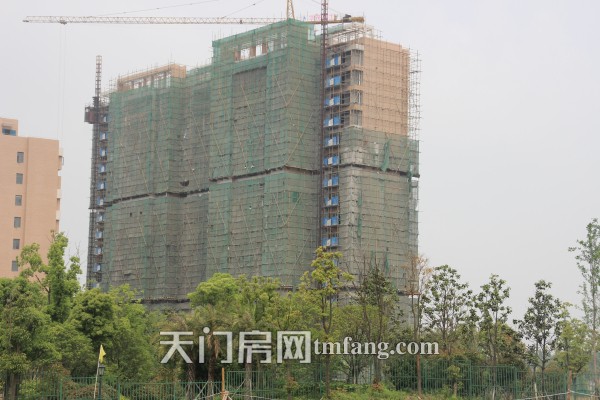 华茂阳光城4月工程进度：6#楼正在做外墙