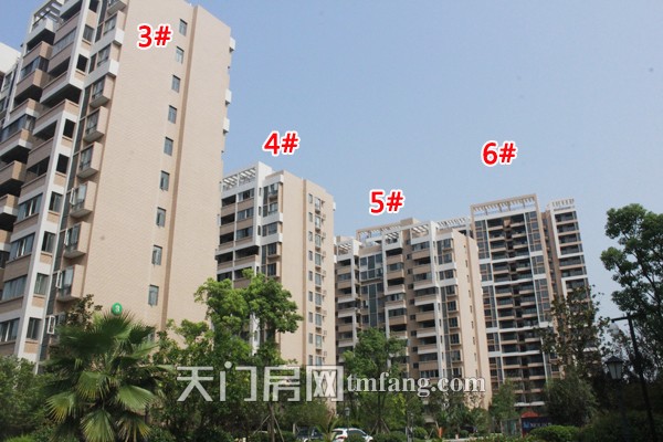 华茂阳光城9月进度 3期6#、9#将于十月交房