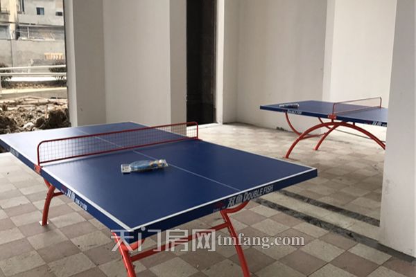 乒乓球 副本.jpg