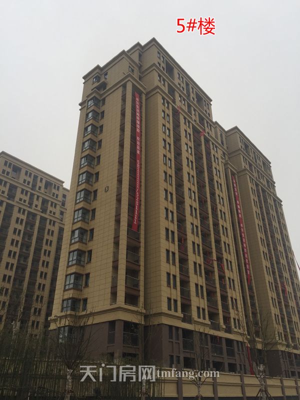 天门卓尔生活城2月工程进度