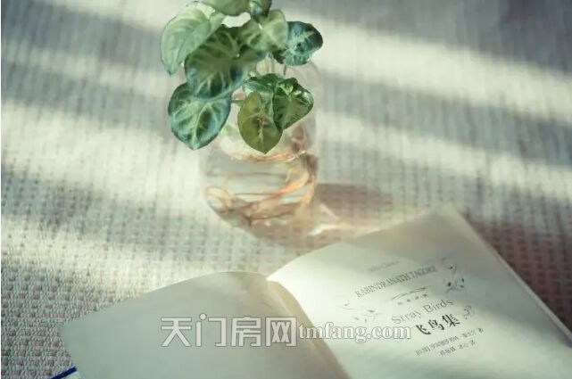 百里太子湾：103㎡高层阳光正三房  照进你的心窝