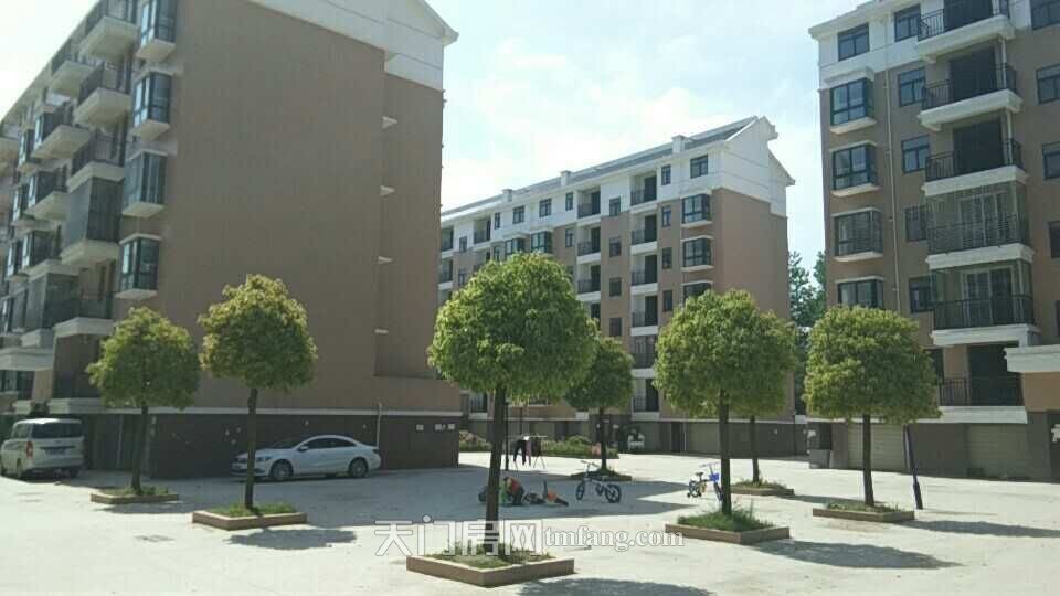 现房 出售中，活动不断