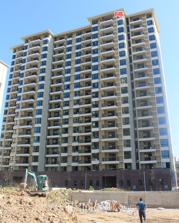 冠南汇侨城金桂园7月工程进度：准备绿化