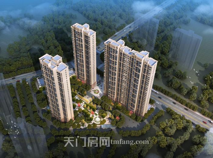 东湖·中央公馆效果图