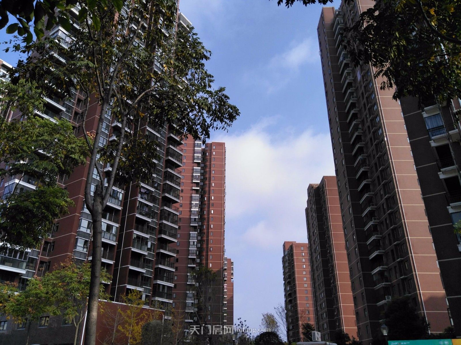 新城四期精装3房126平 售58万