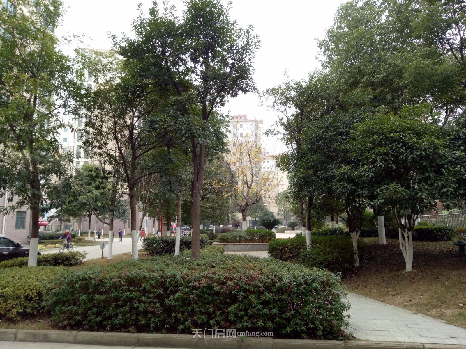 新城四期毛坯大复式房东低价出售