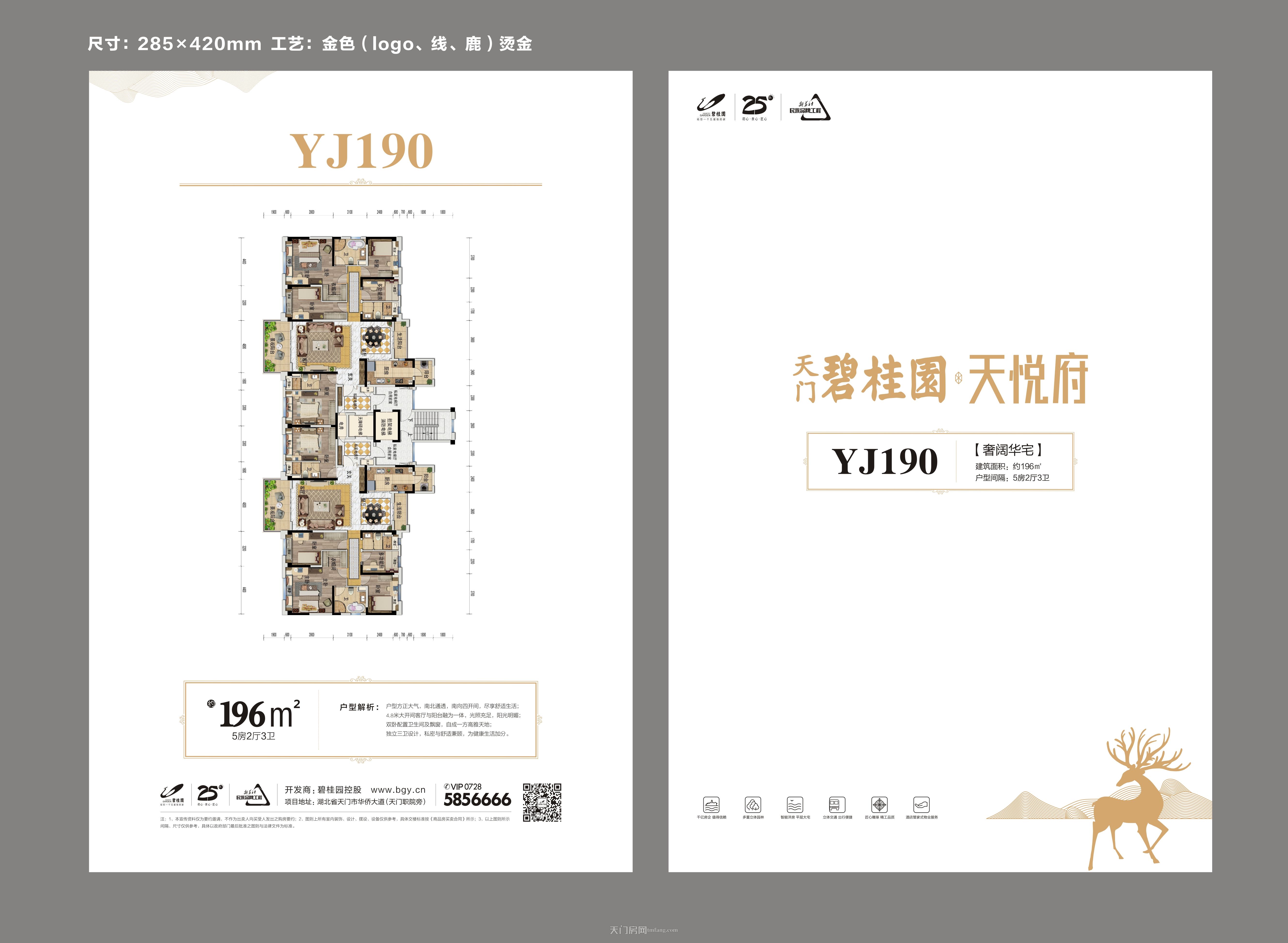 天门碧桂园2期天悦府二期天悦府YJ190户型图