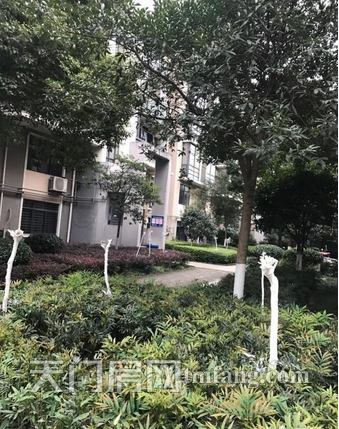 新城二期超大复式楼诚意出售（带装修送家电）