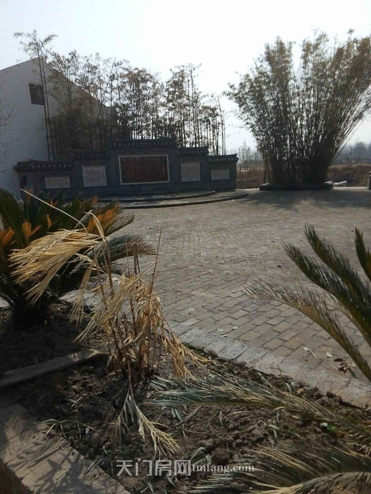 天门狮城复式楼学区房