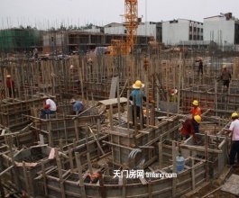 仁信·南洋星城6月最新项目进度