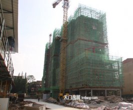 8月蓝宝大爱都最新项目进度