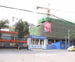 蓝宝·大爱都12月工程进度