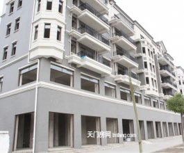 华泰项12月目最新项目进度