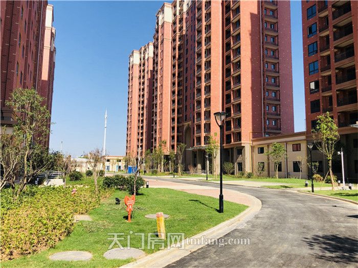 华泰学府春天：涵养书香门第，护航无忧成长